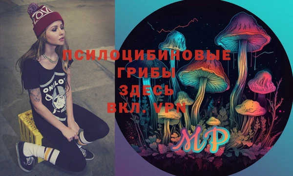 бошки Новокубанск