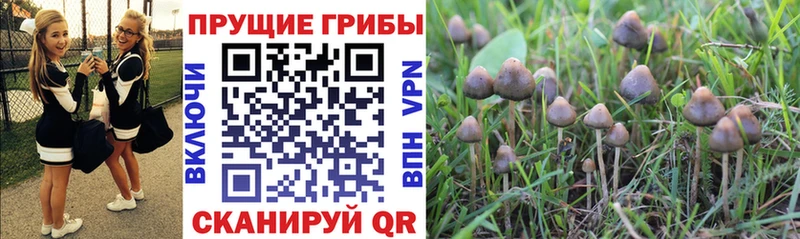 Галлюциногенные грибы ЛСД  как найти закладки  Барнаул 